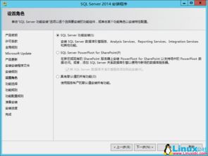 SQL Server 2014数据库集群搭建与配置指南 构建可靠的数据处理与存储支持服务